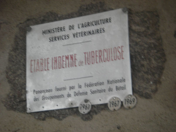 IMGP5998