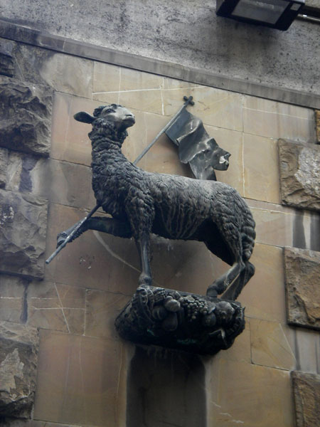 IMGP0731