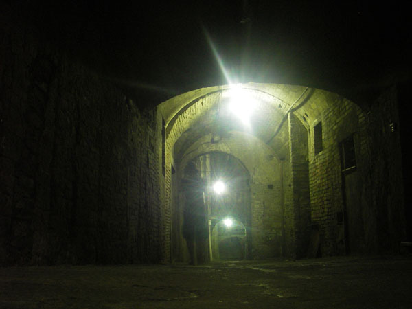 IMGP0771