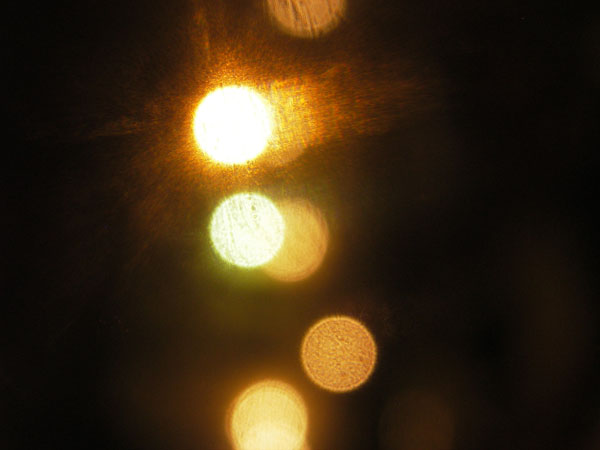 IMGP0785