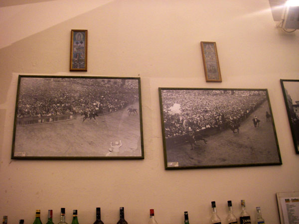 IMGP0786