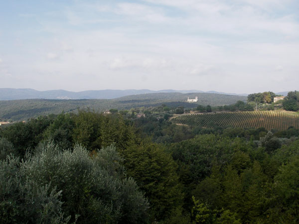 IMGP0795