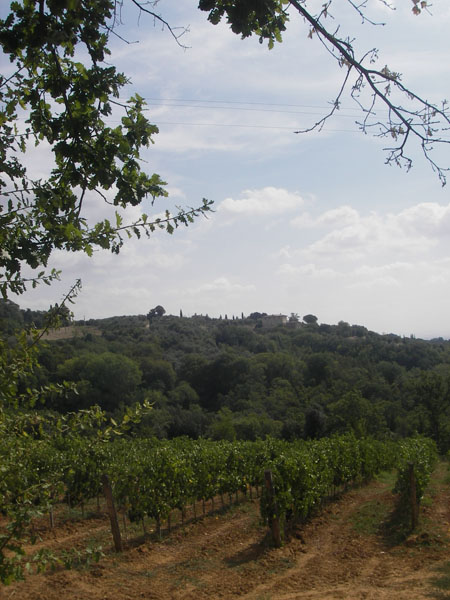 IMGP0798