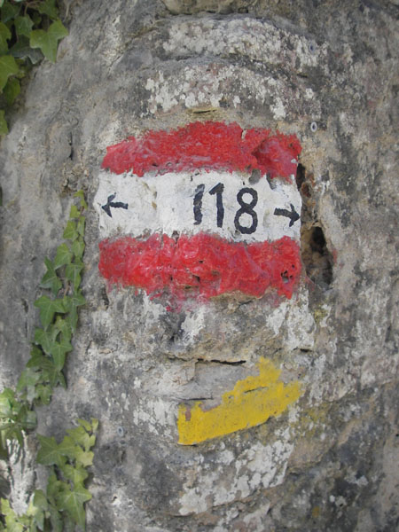 IMGP0803