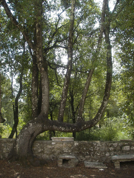 IMGP0809