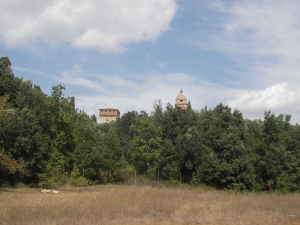 IMGP0812