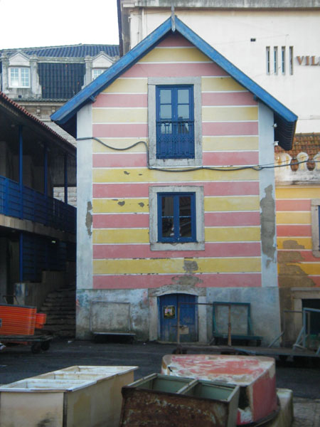 IMGP2379