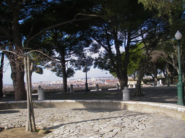 IMGP2395
