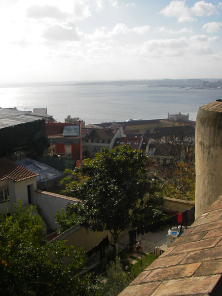 IMGP2396
