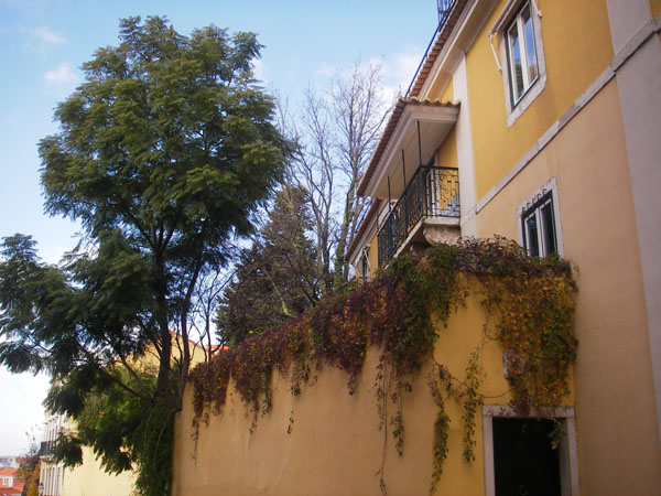 IMGP2405