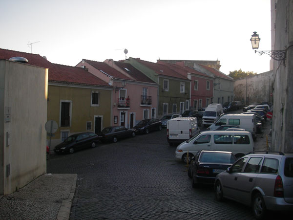 IMGP2445