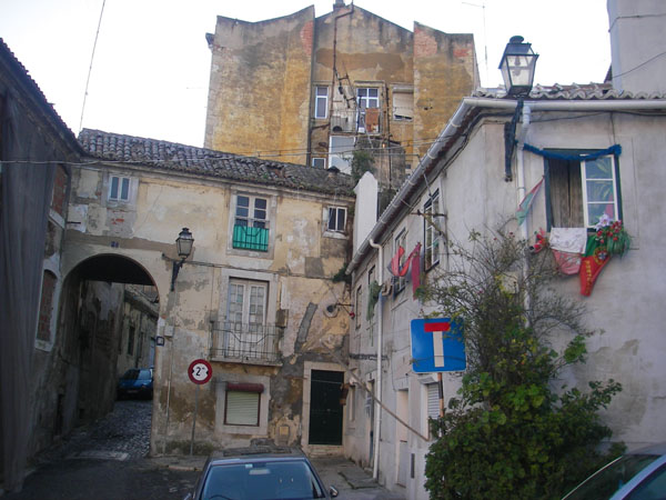 IMGP2446