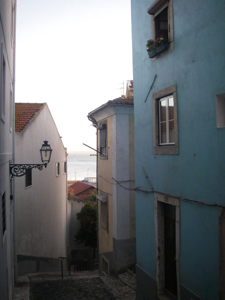 IMGP2452