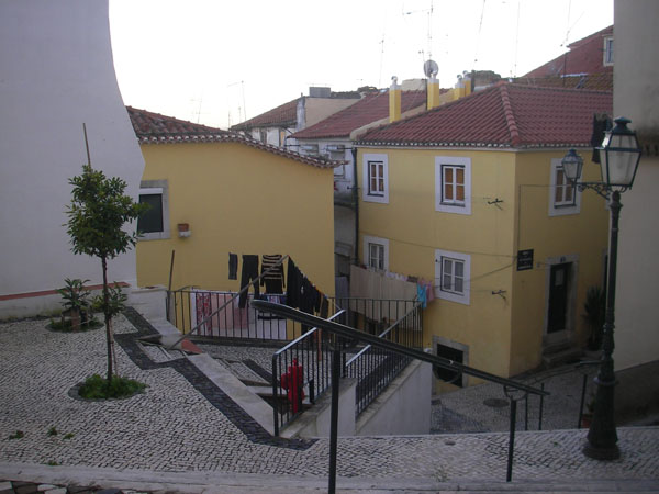 IMGP2456