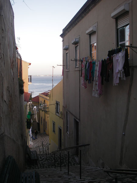 IMGP2457