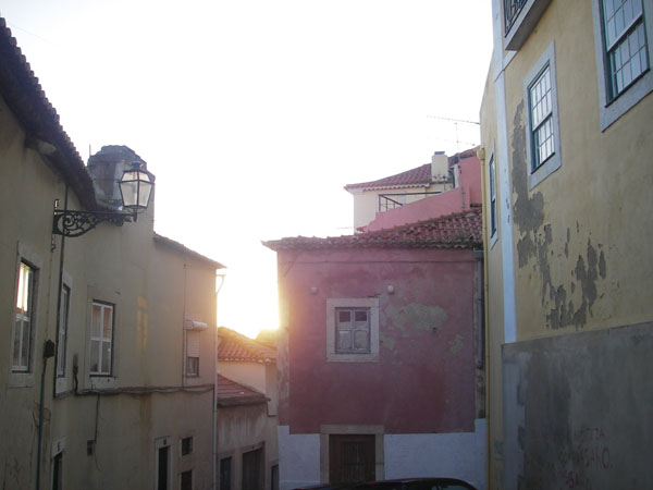 IMGP2459