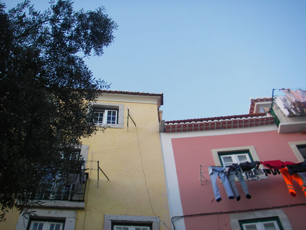 IMGP2463