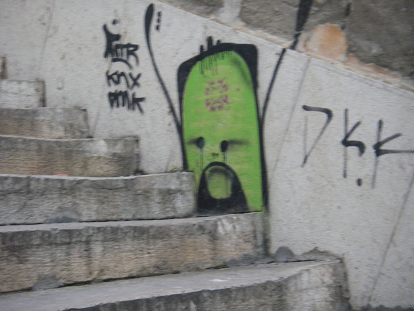 IMGP2469