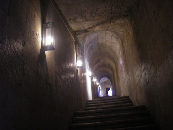 IMGP2536