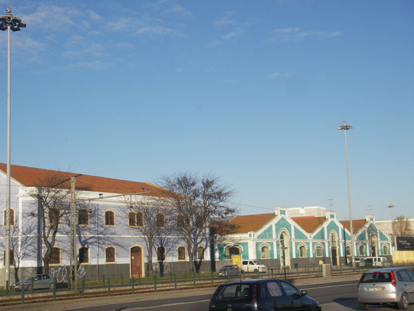 IMGP2560