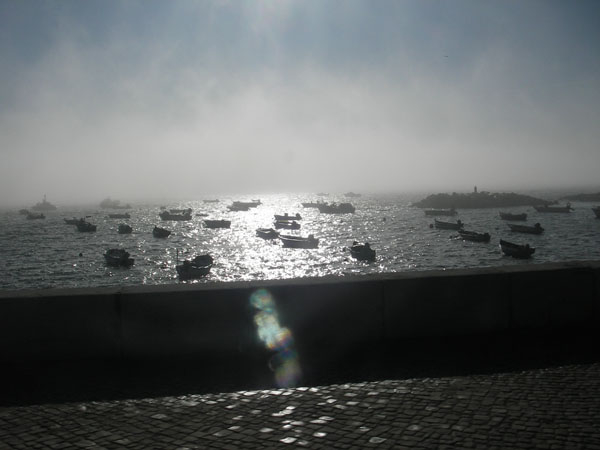 IMGP2621